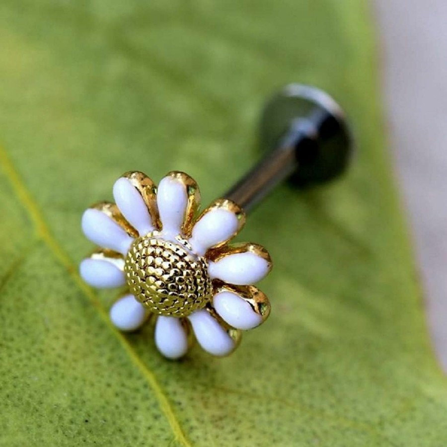 Pierced Owl Body Piercing Studs | Pierced Owl 16Ga Golden Daisy With White Petals 316L Surgical Stainless Steel Flat Back Labret Monroe Lip Cartilage Helix Tragus Conch Ear Lobe Stud