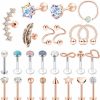 PunkTracker Body Piercing Studs | 25Pcs 16G Cartilage Earrings Tragus Earring Surgical Steel Studs Helix Conch Rook Daith Piercing Jewelry Lip Rings For Women Men