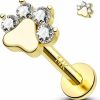 Melighting Body Piercing Studs | Melighting 14K Solid Gold Paw Dog Cartilage Earring Internally Threaded 16G Gold Helix Piercing Jewelry Clear Cz Gold Helix Earring For Women 8Mm Gold Flat Back Stud Earring